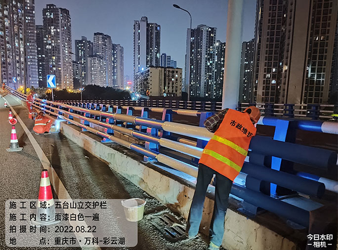 重庆市九龙坡区2022年结构容貌整治工程